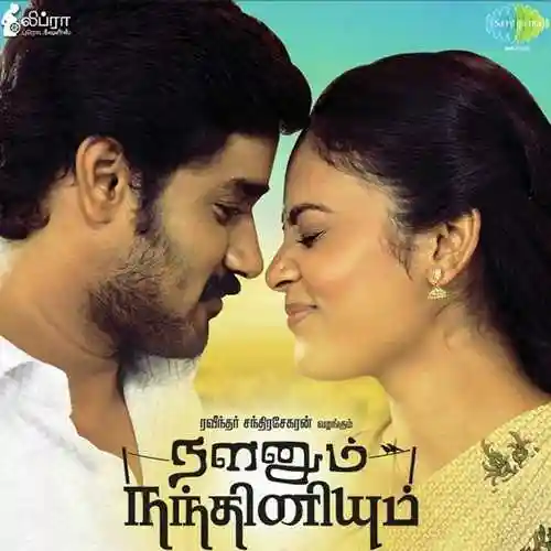 Nalanum Nandhiniyum 2014 cover image