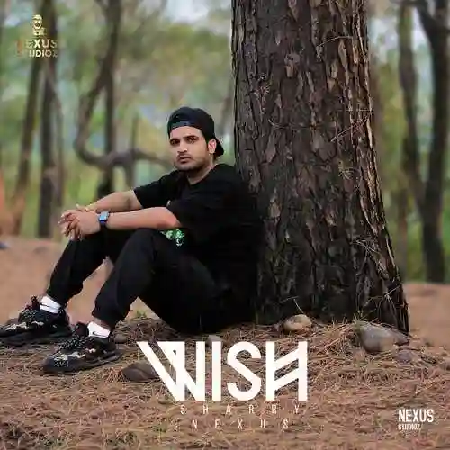 Wish - Sharry Nexus 2022 cover image