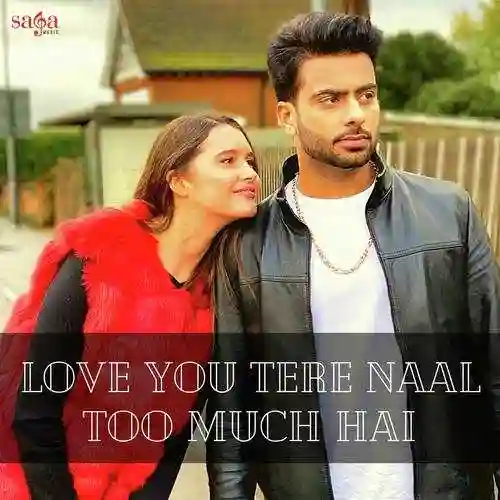 Love You Tere Naal Too Much Hai 2020 cover image