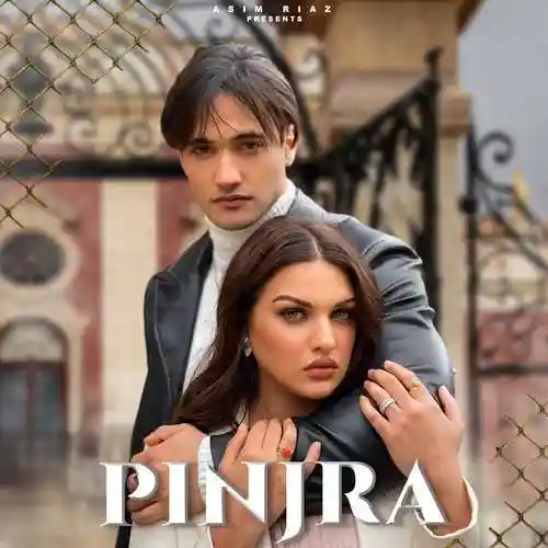 Pinjra - Asim Riaz 2022 cover image