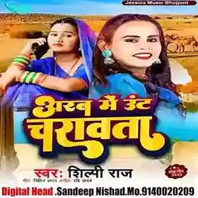 arab me unt charawata (bhojpuri) - Shilpi Raj 2024 cover image