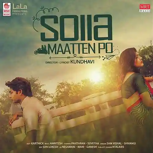 Solla Maatten Po 2013 cover image