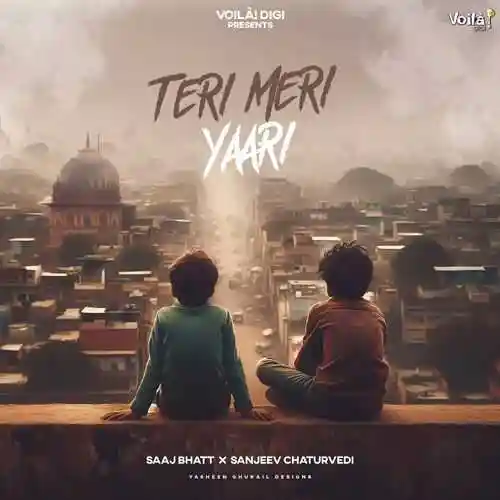 Teri Meri Yaari - Sanjeev Chaturvedi 2024 cover image