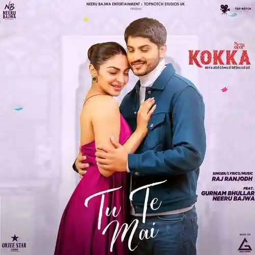 Tu Te Mai - Raj Ranjodh 2022 cover image