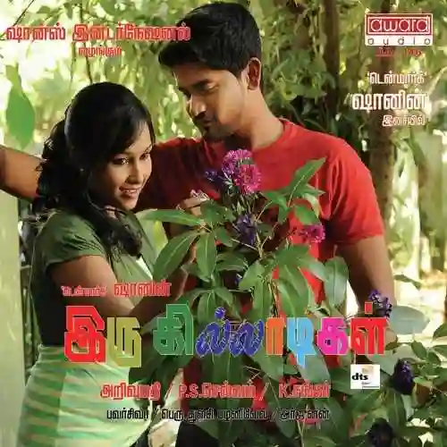 Iru Killadigal 2013 cover image