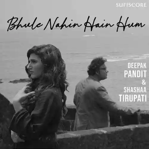 Bhule Nahin Hain Hum - Deepak Pandit 2021 cover image