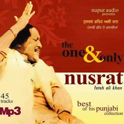 Nusrat - The One And Only Nusrat Fateh Ali Khan 2012 cover image