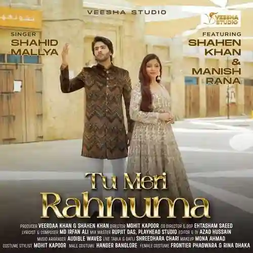 Tu Meri Rahnuma - Shahid Mallya 2024 cover image