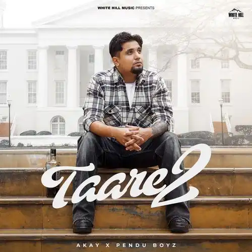 Taare 2 - A Kay 2024 cover image