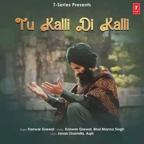 Tu Kalli Di Kalli 2024 cover image