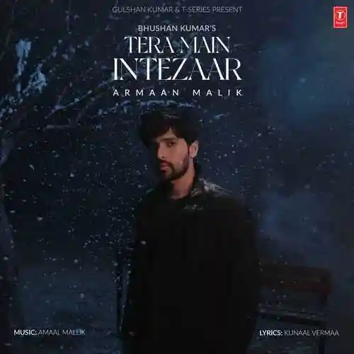 Tera Main Intezaar - Armaan Malik 2024 cover image