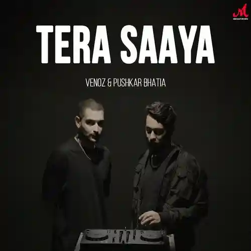 Tera Saaya - Pushkar Bhatia 2024 cover image