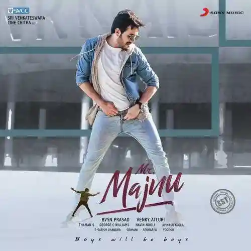 Mr. Majnu 2019 cover image