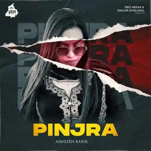 Pinjra - Aishleen Bains 2022 cover image