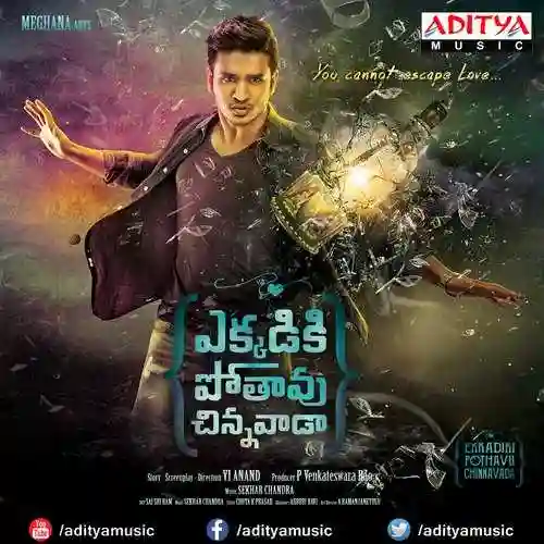 Ekkadiki Pothavu Chinnavada 2016 cover image