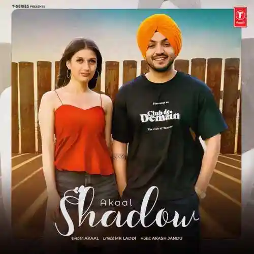 Shadow - Akaal 2022 cover image