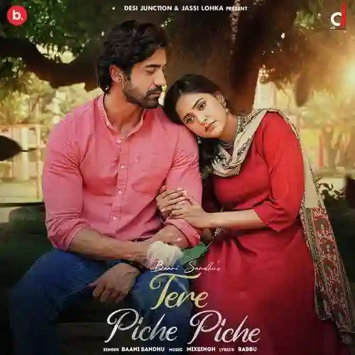 Tere Piche Piche - Baani Sandhu 2022 cover image