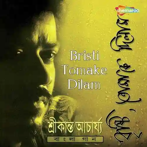 Bristi Tomake Dilam 2019 cover image