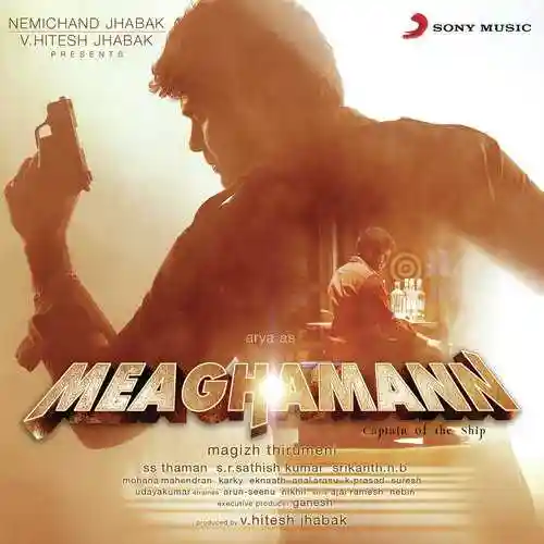 Meaghamann 2014 cover image