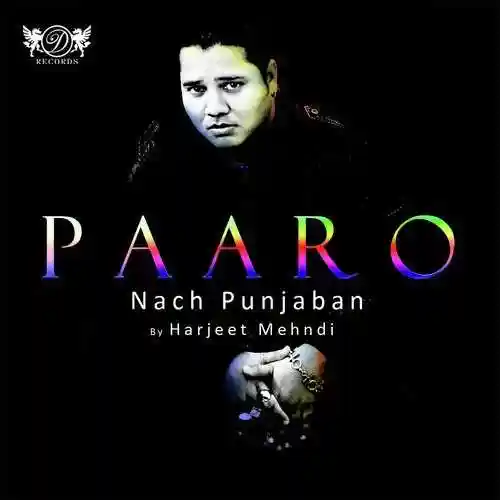 Paaro 2013 cover image