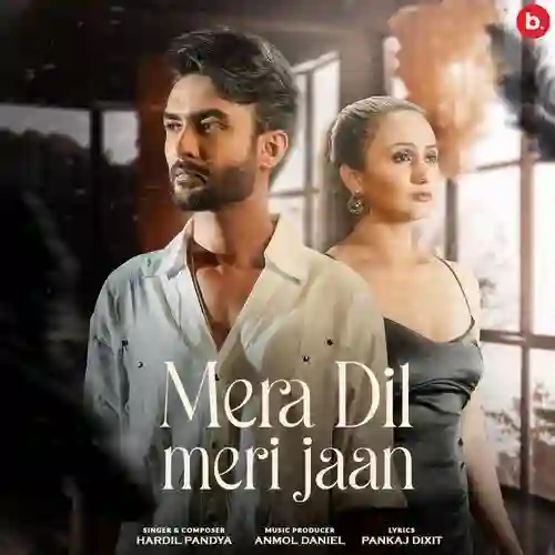 Mera Dil Meri Jaan - Hardil Pandya 2024 cover image