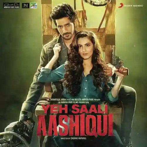 Yeh Saali Aashiqui 2019 cover image