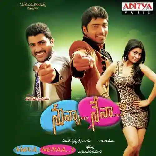 Nuvva Nenaa 2012 cover image