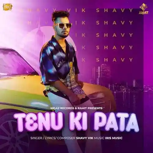 Tenu Ki Pata - Shavy Vik 2022 cover image