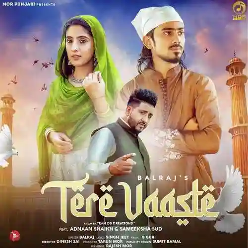 Tere Vaaste - Balraj 2022 cover image