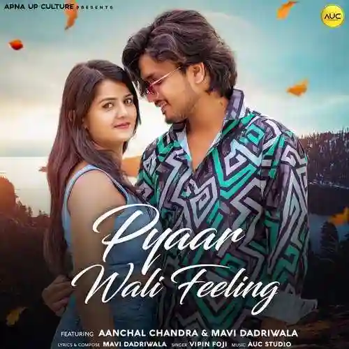 Pyaar Wali Feeling - Vipin Foji 2022 cover image