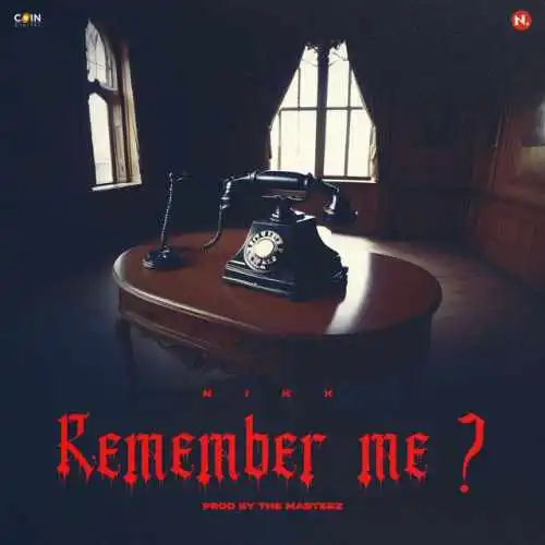 Remember me ? - Nikk 2024 cover image