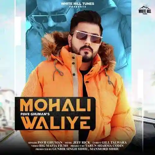 Mohali Waliye - Pavii Ghuman 2021 cover image