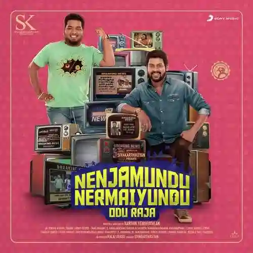 Nenjamundu Nermaiyundu Odu Raja 2019 cover image