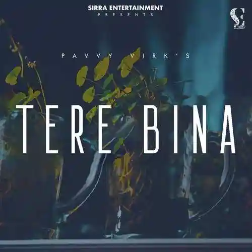 Tere Bina - Pavvy Virk 2022 cover image