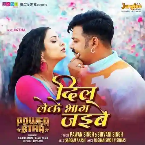 Dil Leke Bhag Jayibe - Pawan Singh 2024 cover image