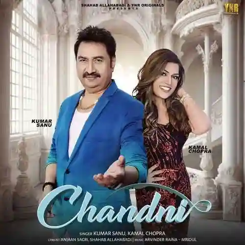 Chandni 2024 cover image