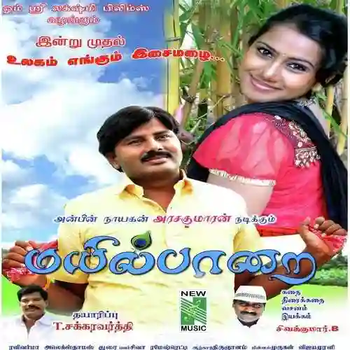 Mayil Paarai 2013 cover image