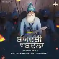 Beadbi Da Badla - Dhadi Tarsem Singh Moranwali 2022 cover image