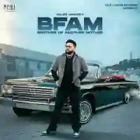 BFAM (Brother of Another Mother) 2024 cover image