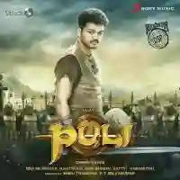 Puli 2015 cover image