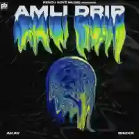 AMLI DRIP - A-Kay 2022 cover image