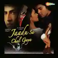 Jaadu Sa Chal Gaya 2006 cover image