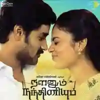 Nalanum Nandhiniyum 2014 cover image