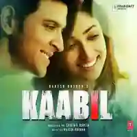 Kaabil 2017 cover image