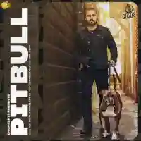 Pitbull - Baaz Dhatt 2021 cover image