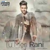 Tu Meri Rani - Guru Randhawa 2016 cover image