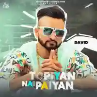 Topiyan Nai Paiyan - David Bihranwala 2021 cover image