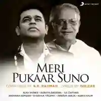 Meri Pukaar Suno - A R Rahman 2021 cover image