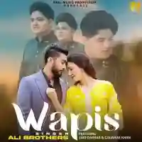 Wapis - Ali Brothers 2021 cover image