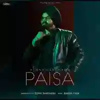 Paisa - Sunny Randhawa 2022 cover image